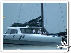 NYYC Multihull Regatta 2017 in Newport