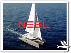 Video NEEL 51
